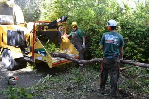 tree services Largo